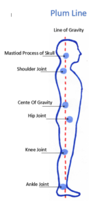 6 Simple Lifestyle changes to prevent Lower Back Pain