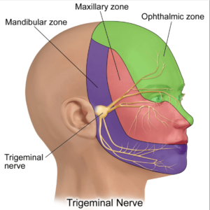 TRIGEMINAL NEURALGIA